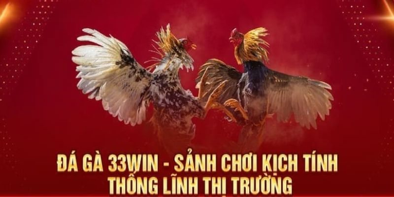 Sảnh chơi Đá Gà 33WIN thú vị nhất mọi thời đại 