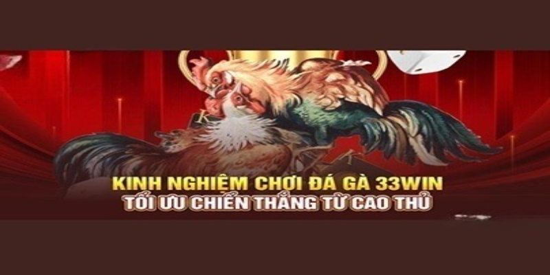 Kinh nghiệm nuôi chiến kê từ các tay chơi lão làng 