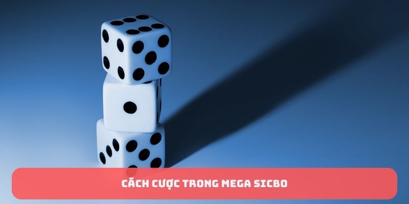 Cách cược trong Mega Sicbo